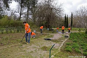 ANCIENT OLYMPIA
