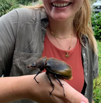 Environmental conservation project in Costa Rica