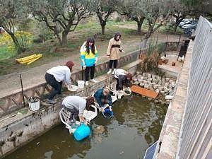 Learn about sustanbility and decarbonisation with Fundació Roser de Maig