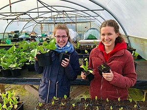 ECO-CENTRES 