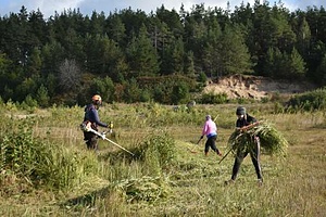RESTORING HABITATS OF ENDANGERED AMPHIBIANS
