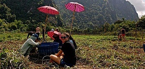 Sae Lao Project : Long-term volunteering 