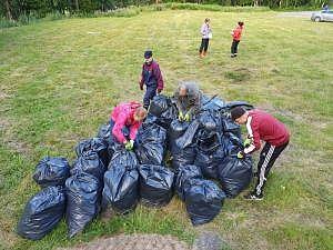 Environmental work against invasive species