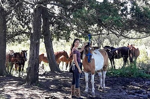 FARMSTAY