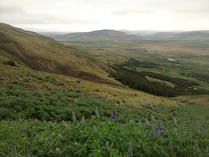 BOTANICAL GARDENS IN REYKJAVÍK