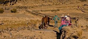 Projet de volontariat dans un refuge pour chevaux au Pérou