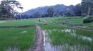 SPIRITUAL NATURE FARM