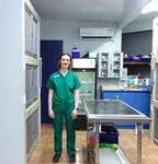 Internship veterinary