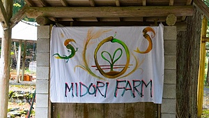 Midori Farm