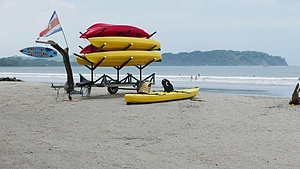 Turtle conservation in Buena Vista