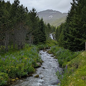 Siglufjörður- The North Village