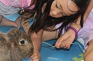 ECO FARM and ANIMAL SANCTUARY