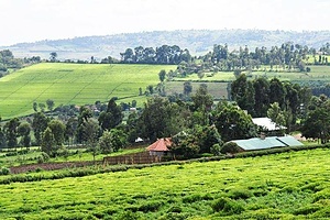 NYAMIRA MISSIONARIES CULTURAL DEVELOPMENT (NMCD)