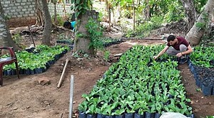 LIFE IN VILLAGE