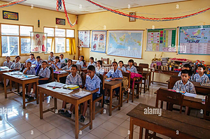 DJLTV-2402 PRIMARY EDUCATION