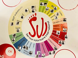 Assistant.e en pédagogie et formation au SVI (CES/SVE)