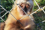 Ser Fauna Wildlife Centre 