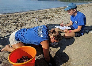 Protecting sea turtle nesting activity - Lakonikos