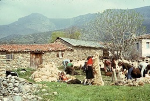 CONSTRUCTION OF A TRADITIONAL FARMING CABIN HOUSE