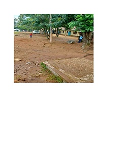 Nyamanche Primary School