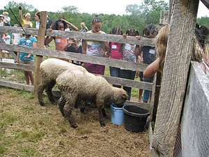 Hilton-Winn Farm