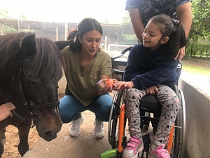 EQUINETHERAPY