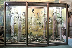 NATIONAL ETHNOGRAP & NATURAL HISTORY MUSEUM 2020