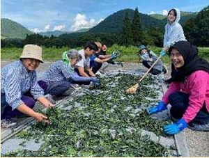 Nature Conservation in Japan (Nishiwaga (Iwate))