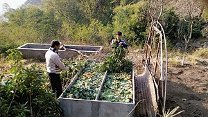 Natural Farming