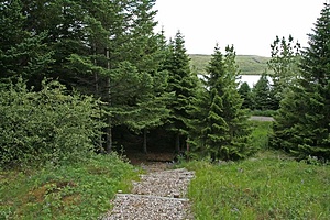 FORESTRY AND HIKING TRAILS IN THE WEST (1/2)