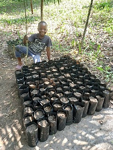 RDC - Village Mbeka Makosso Boma