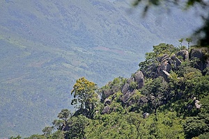 Lower Vumba Community Services Project