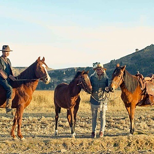 Atoj Cayo, Santuario de caballos : établissement d'un refuge pour chevaux