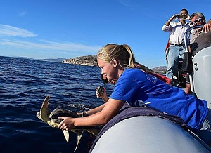 Protecting sea turtle nesting activity - Kyparissia