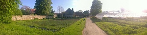 Solidarity Gardens