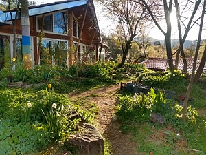 ESC: Individual Volunteering at Trinoga, Bulgaria