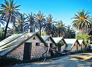 Notre oasis c'est notre richesse
