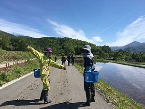 Tateya