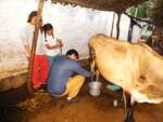PEOPLE FOR ANIMALS ( MYSORE CITY)