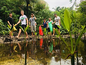 Go Green Maldives