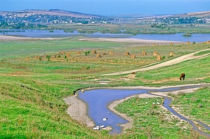 ADVIT MOLDOVA 2020