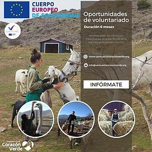 ESC: caring for rescued animals in an animal sanctuary