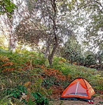 Camp Vamvakia 