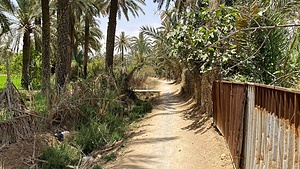Notre oasis c'est notre richesse