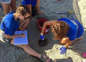 Protecting sea turtle nesting activity - Rethymno
