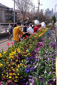 TOKUSHIMA21-01 (TOKUSHIMA)