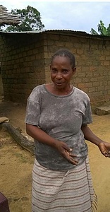 Camp de volontariat solidaire, agriculture durable, construction et échanges locaux
