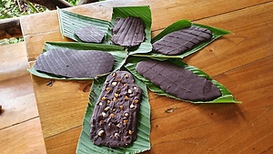 Découvrer notre plantation agroforestière de cacao  en Amazonie