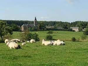 ABJ CHAMPLON