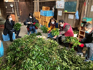Agriculture and community workcamps Japan